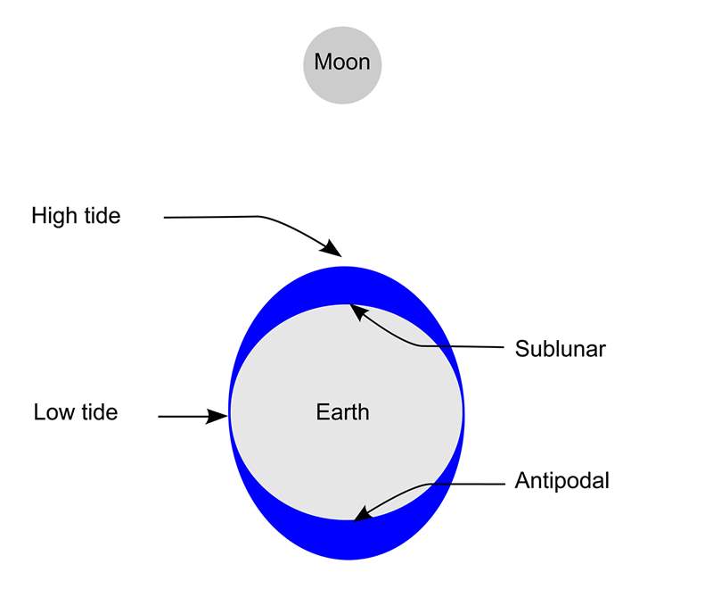 僅僅因為月亮、潮汐和洪水-復(fù)刻表