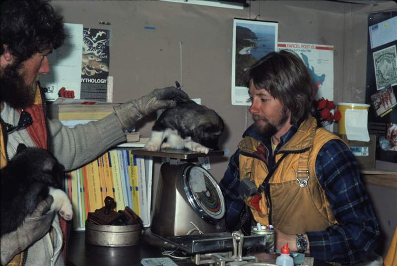 年度回顧2021年您最喜歡的五個(gè)帖子-復(fù)刻表