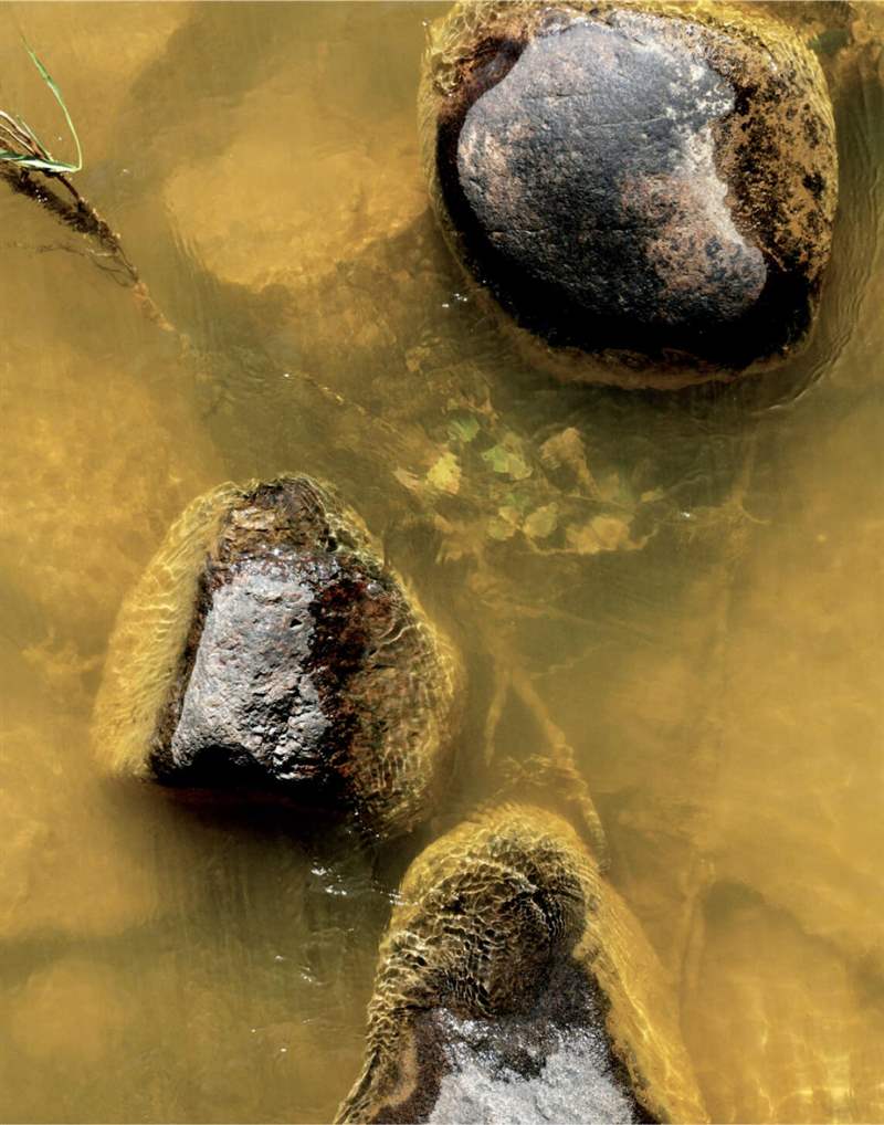 深礦是危險的地方,致命事故是生活中的事實。-復刻表