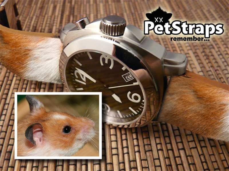 PetStraps:寵物伴侶的愛存在于……您的手腕上-復刻表