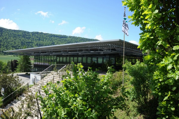 Nivarox內(nèi)部——瑞士鐘表業(yè)的心臟-復(fù)刻表